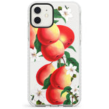 Vintage Painted Peaches Impact Phone Case for iPhone 11, iphone 12