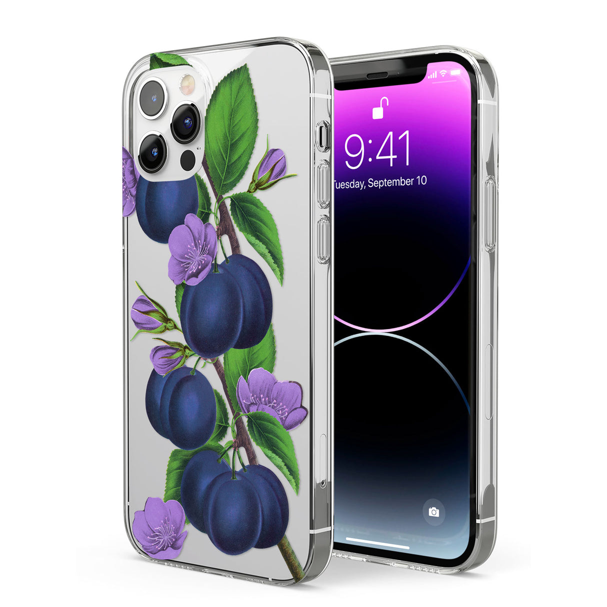 Vintage Painted Plums Phone Case for iPhone 12 Pro