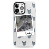 Personalised Korat Cat Photo