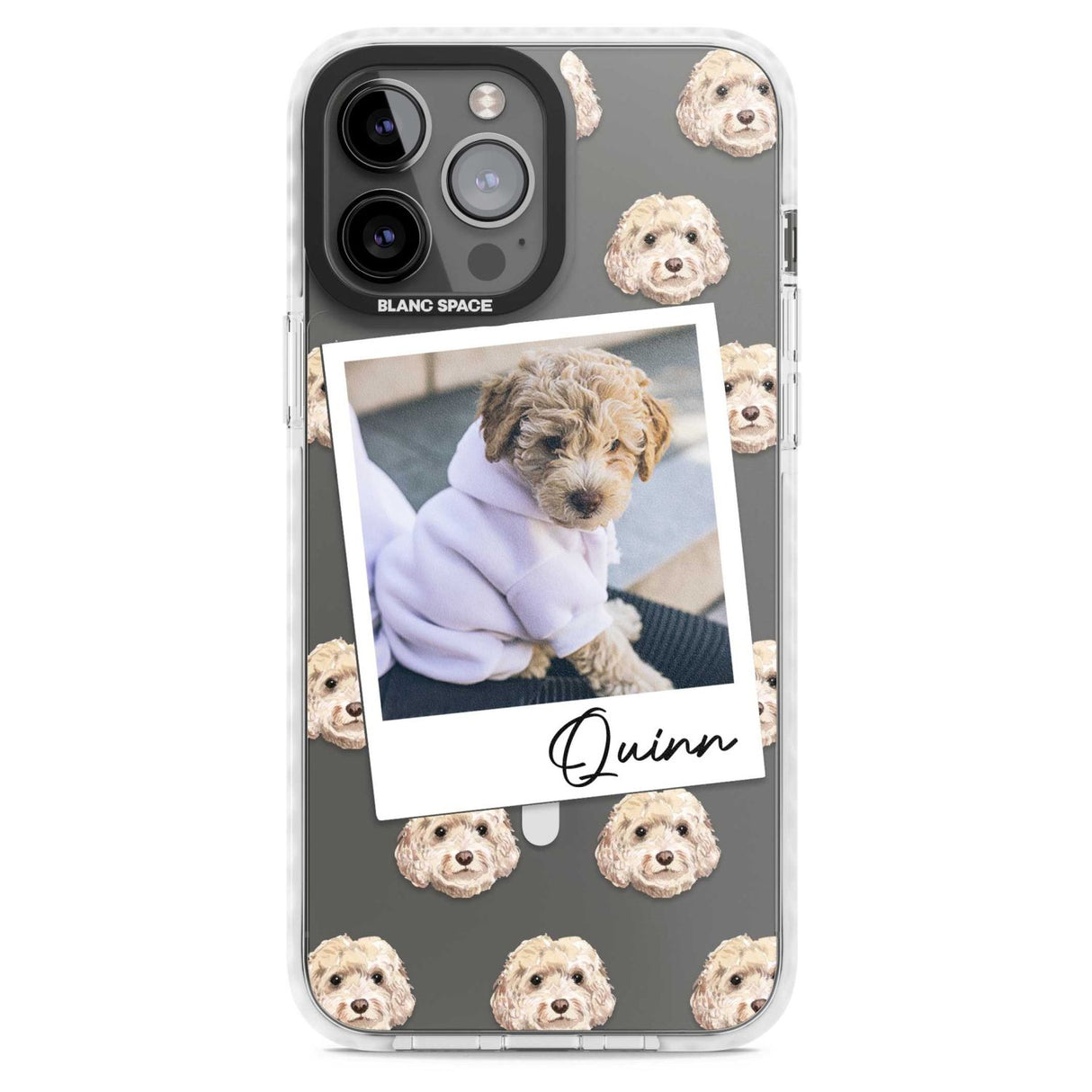 Personalised Cockapoo, Cream - Dog Photo