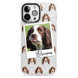 Personalised Springer Spaniel - Dog Photo