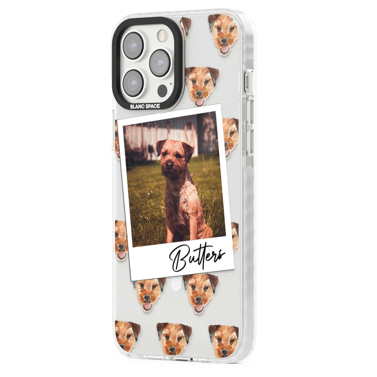 Personalised Border Terrier - Dog Photo