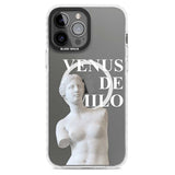 Venus De Milo Cutout