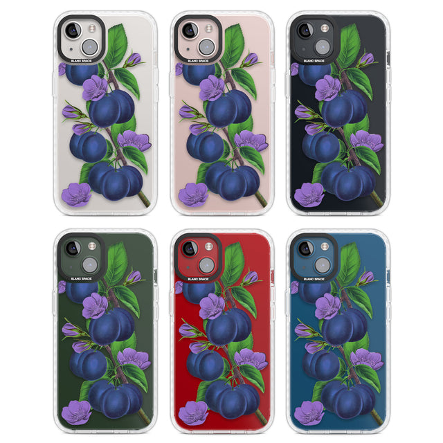 Vintage Painted Plums Clear Impact Phone Case for iPhone 13, iPhone 14, iPhone 15