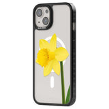 Daffodil Phone Case iPhone 15 Pro Max / Black Impact Case,iPhone 15 Plus / Black Impact Case,iPhone 15 Pro / Black Impact Case,iPhone 15 / Black Impact Case,iPhone 15 Pro Max / Impact Case,iPhone 15 Plus / Impact Case,iPhone 15 Pro / Impact Case,iPhone 15 / Impact Case,iPhone 15 Pro Max / Magsafe Black Impact Case,iPhone 15 Plus / Magsafe Black Impact Case,iPhone 15 Pro / Magsafe Black Impact Case,iPhone 15 / Magsafe Black Impact Case,iPhone 14 Pro Max / Black Impact Case,iPhone 14 Plus / Black Impact Case,