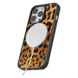 Leopard Print Phone Case iPhone 15 Pro Max / Black Impact Case,iPhone 15 Plus / Black Impact Case,iPhone 15 Pro / Black Impact Case,iPhone 15 / Black Impact Case,iPhone 15 Pro Max / Impact Case,iPhone 15 Plus / Impact Case,iPhone 15 Pro / Impact Case,iPhone 15 / Impact Case,iPhone 15 Pro Max / Magsafe Black Impact Case,iPhone 15 Plus / Magsafe Black Impact Case,iPhone 15 Pro / Magsafe Black Impact Case,iPhone 15 / Magsafe Black Impact Case,iPhone 14 Pro Max / Black Impact Case,iPhone 14 Plus / Black Impact 