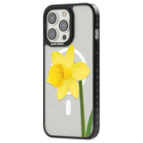 Daffodil Phone Case iPhone 15 Pro Max / Black Impact Case,iPhone 15 Plus / Black Impact Case,iPhone 15 Pro / Black Impact Case,iPhone 15 / Black Impact Case,iPhone 15 Pro Max / Impact Case,iPhone 15 Plus / Impact Case,iPhone 15 Pro / Impact Case,iPhone 15 / Impact Case,iPhone 15 Pro Max / Magsafe Black Impact Case,iPhone 15 Plus / Magsafe Black Impact Case,iPhone 15 Pro / Magsafe Black Impact Case,iPhone 15 / Magsafe Black Impact Case,iPhone 14 Pro Max / Black Impact Case,iPhone 14 Plus / Black Impact Case,