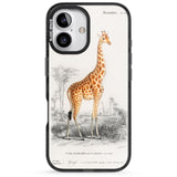 iPhone 16 Pro Max Vintage Girafe Art Black Impact Phone Case