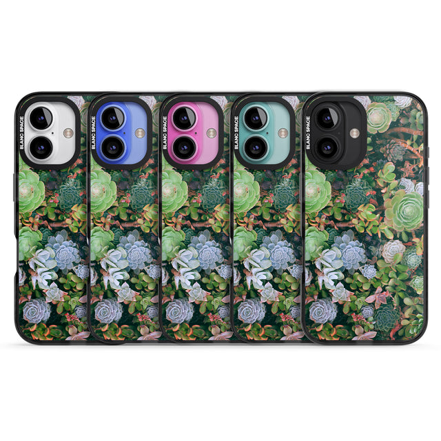 iPhone 16 Pro Max Colourful Succulents Photograph Black Impact Phone Case