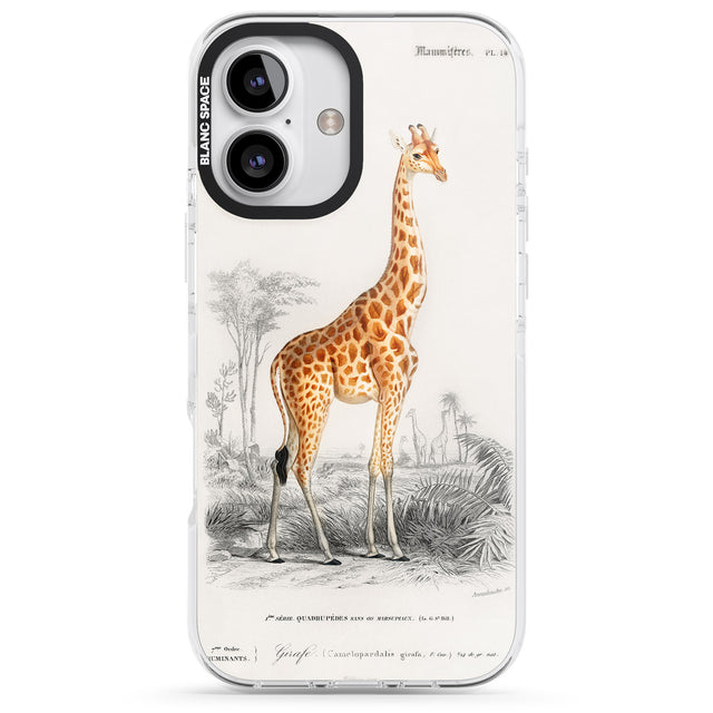 iPhone 16 Pro Max Vintage Girafe Art Black Impact Phone Case