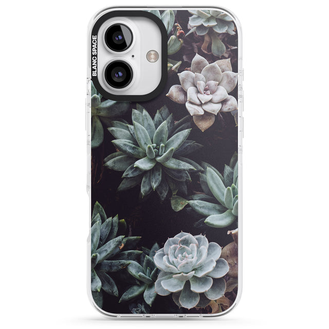 iPhone 16 Pro Max Mixed Succulents - Real Botanical Photographs Black Impact Phone Case