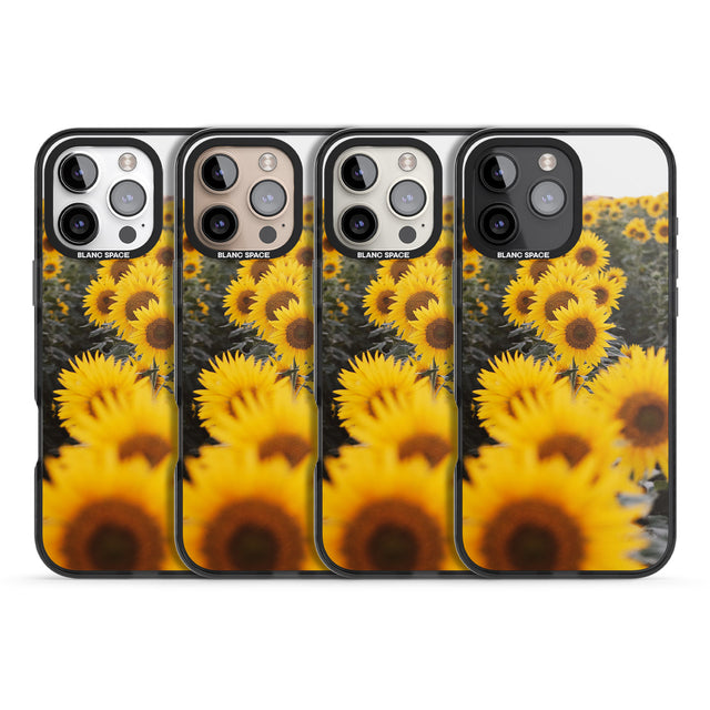 iPhone 16 Pro Max Sunflower Field Photograph Black Impact Phone Case