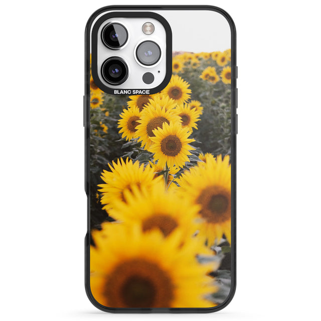 iPhone 16 Pro Max Sunflower Field Photograph Black Impact Phone Case