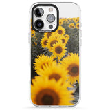 iPhone 16 Pro Max Sunflower Field Photograph Black Impact Phone Case