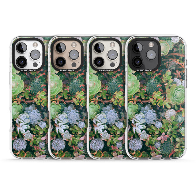 iPhone 16 Pro Max Colourful Succulents Photograph Black Impact Phone Case