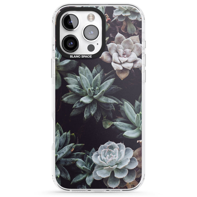 iPhone 16 Pro Max Mixed Succulents - Real Botanical Photographs Black Impact Phone Case