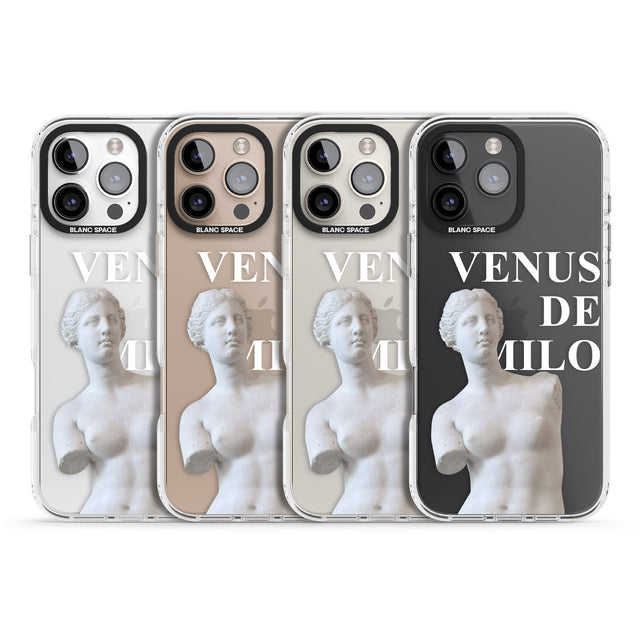 iPhone 16 Pro Max Venus De Milo Cutout Black Impact Phone Case