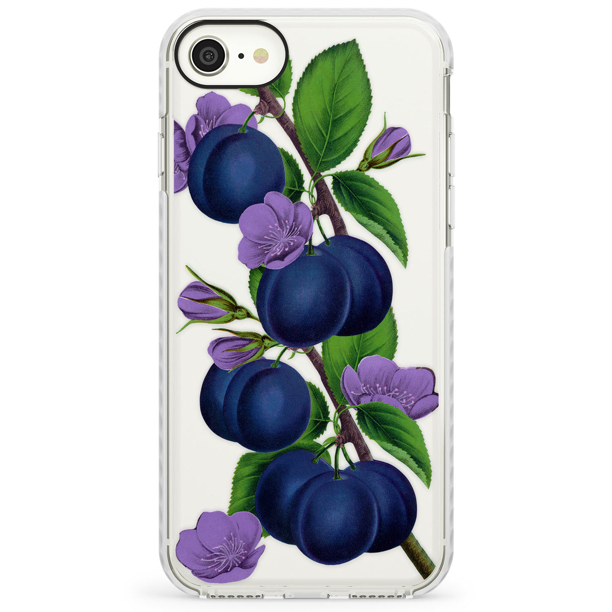 Vintage Painted PlumsImpact Phone Case for iPhone SE