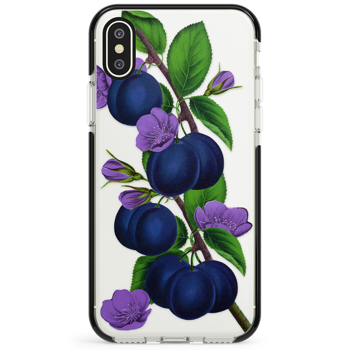 Vintage Painted Plums Phone Case for iPhone X XS Max XR