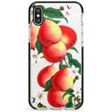 Vintage Painted Peaches Phone Case for iPhone X XS Max XR