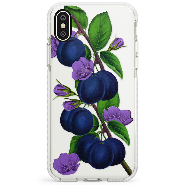 Vintage Painted Plums Impact Phone Case for iPhone X XS Max XR