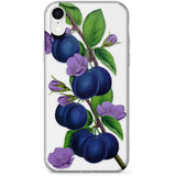 Vintage Painted Plums Phone Case for iPhone X, XS Max, XR