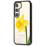 Daffodil Phone Case iPhone 15 Pro Max / Black Impact Case,iPhone 15 Plus / Black Impact Case,iPhone 15 Pro / Black Impact Case,iPhone 15 / Black Impact Case,iPhone 15 Pro Max / Impact Case,iPhone 15 Plus / Impact Case,iPhone 15 Pro / Impact Case,iPhone 15 / Impact Case,iPhone 15 Pro Max / Magsafe Black Impact Case,iPhone 15 Plus / Magsafe Black Impact Case,iPhone 15 Pro / Magsafe Black Impact Case,iPhone 15 / Magsafe Black Impact Case,iPhone 14 Pro Max / Black Impact Case,iPhone 14 Plus / Black Impact Case,