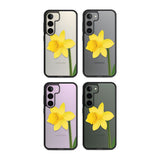 Daffodil Phone Case iPhone 15 Pro Max / Black Impact Case,iPhone 15 Plus / Black Impact Case,iPhone 15 Pro / Black Impact Case,iPhone 15 / Black Impact Case,iPhone 15 Pro Max / Impact Case,iPhone 15 Plus / Impact Case,iPhone 15 Pro / Impact Case,iPhone 15 / Impact Case,iPhone 15 Pro Max / Magsafe Black Impact Case,iPhone 15 Plus / Magsafe Black Impact Case,iPhone 15 Pro / Magsafe Black Impact Case,iPhone 15 / Magsafe Black Impact Case,iPhone 14 Pro Max / Black Impact Case,iPhone 14 Plus / Black Impact Case,