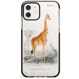 Vintage Girafe Art Black Impact Phone Case for iPhone 11 Pro Max