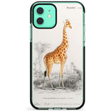 Vintage Girafe Art Black Impact Phone Case for iPhone 11 Pro Max