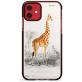 Vintage Girafe Art Black Impact Phone Case for iPhone 11 Pro Max