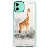 Vintage Girafe Art Impact Phone Case for iPhone 11