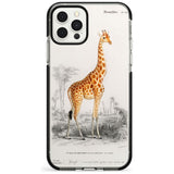 Vintage Girafe Art Black Impact Phone Case for iPhone 11