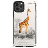 Vintage Girafe Art Impact Phone Case for iPhone 11 Pro Max