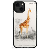 Vintage Girafe Art Black Impact Phone Case for iPhone 13 & 13 Mini