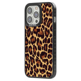 Gold Leopard Print Phone Case iPhone 15 Pro Max / Black Impact Case,iPhone 15 Plus / Black Impact Case,iPhone 15 Pro / Black Impact Case,iPhone 15 / Black Impact Case,iPhone 15 Pro Max / Impact Case,iPhone 15 Plus / Impact Case,iPhone 15 Pro / Impact Case,iPhone 15 / Impact Case,iPhone 15 Pro Max / Magsafe Black Impact Case,iPhone 15 Plus / Magsafe Black Impact Case,iPhone 15 Pro / Magsafe Black Impact Case,iPhone 15 / Magsafe Black Impact Case,iPhone 14 Pro Max / Black Impact Case,iPhone 14 Plus / Black Im