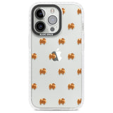 Pomeranian Dog Pattern Clear