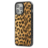 Designer Fashion Gold Leopard Print Phone Case iPhone 15 Pro Max / Black Impact Case,iPhone 15 Plus / Black Impact Case,iPhone 15 Pro / Black Impact Case,iPhone 15 / Black Impact Case,iPhone 15 Pro Max / Impact Case,iPhone 15 Plus / Impact Case,iPhone 15 Pro / Impact Case,iPhone 15 / Impact Case,iPhone 15 Pro Max / Magsafe Black Impact Case,iPhone 15 Plus / Magsafe Black Impact Case,iPhone 15 Pro / Magsafe Black Impact Case,iPhone 15 / Magsafe Black Impact Case,iPhone 14 Pro Max / Black Impact Case,iPhone 1