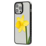 Daffodil Phone Case iPhone 15 Pro Max / Black Impact Case,iPhone 15 Plus / Black Impact Case,iPhone 15 Pro / Black Impact Case,iPhone 15 / Black Impact Case,iPhone 15 Pro Max / Impact Case,iPhone 15 Plus / Impact Case,iPhone 15 Pro / Impact Case,iPhone 15 / Impact Case,iPhone 15 Pro Max / Magsafe Black Impact Case,iPhone 15 Plus / Magsafe Black Impact Case,iPhone 15 Pro / Magsafe Black Impact Case,iPhone 15 / Magsafe Black Impact Case,iPhone 14 Pro Max / Black Impact Case,iPhone 14 Plus / Black Impact Case,