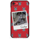 Personalised Korat Cat Photo Black Impact Phone Case for iPhone SE 8 7 Plus