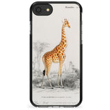 Vintage Girafe Art Black Impact Phone Case for iPhone SE 8 7 Plus