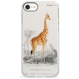 Vintage Girafe Art Impact Phone Case for iPhone SE 8 7 Plus