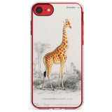 Vintage Girafe Art Impact Phone Case for iPhone SE 8 7 Plus