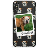 English Bulldog - Custom Dog Photo Pink Fade Impact Phone Case for iPhone X XS Max XR