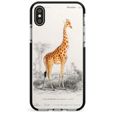 Vintage Girafe Art Black Impact Phone Case for iPhone X XS Max XR