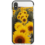 Sunflower Field Photograph Black Impact Phone Case for iPhone X XS Max XR